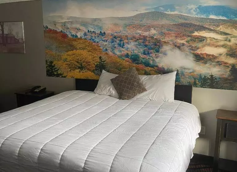 اتاق استاندارد با تخت بزرگ, Country Town N' Suites