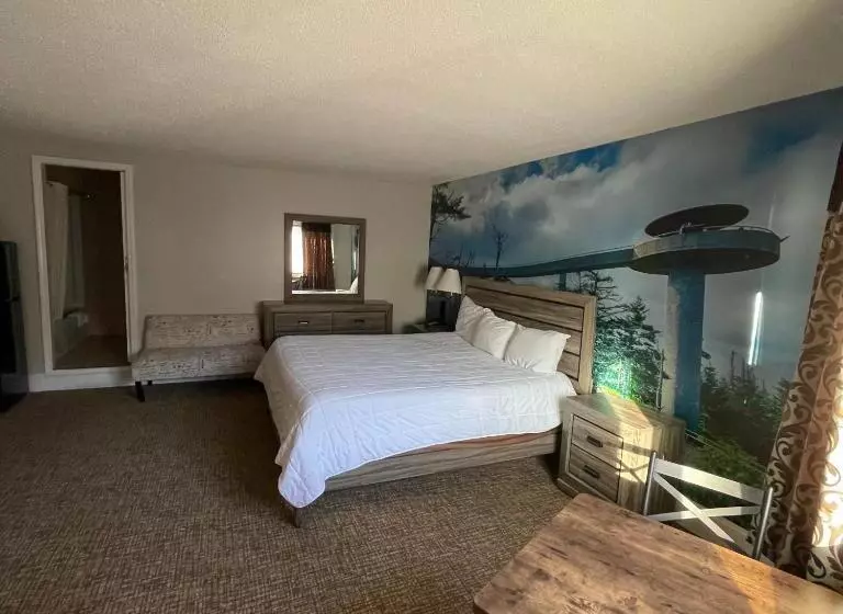 اتاق استاندارد با تخت بزرگ, Country Town N' Suites