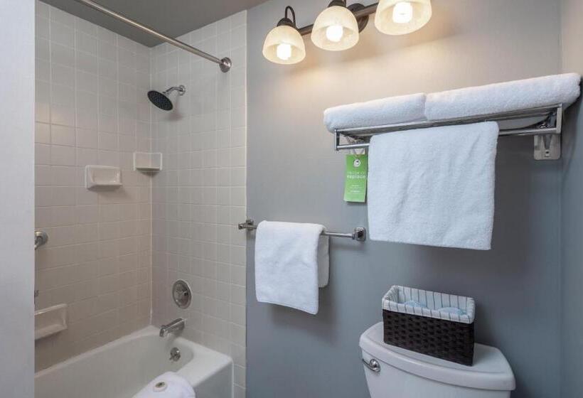 غرفة قياسية, Tamarack Lodge