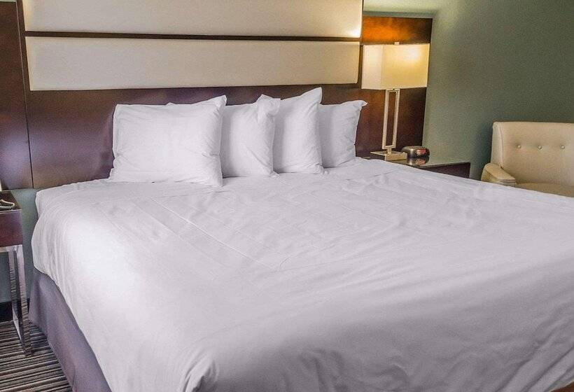 标准间, Quality Inn