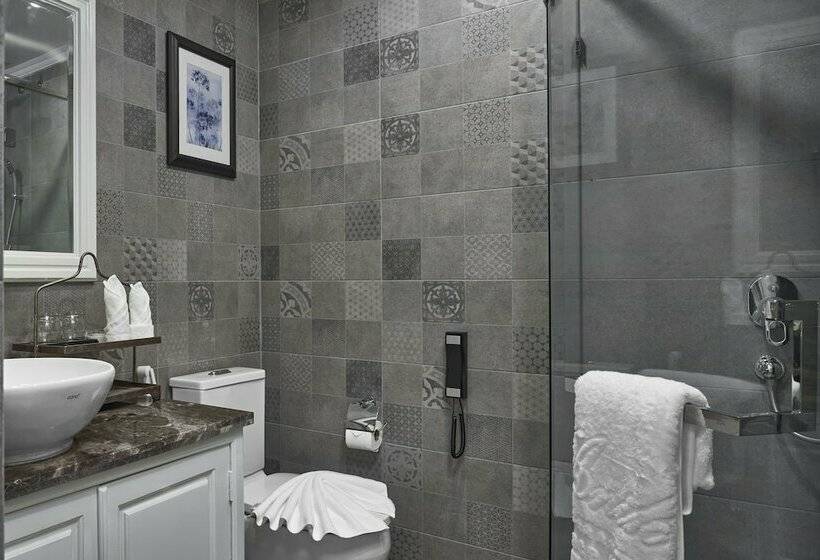 חדר דלוקס, Anik Palace