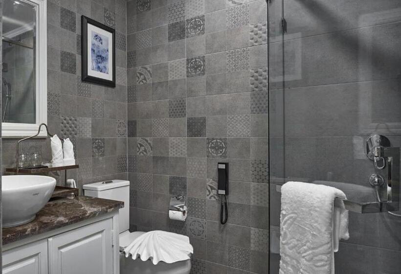 חדר דחוקס עם מיטת קינג, Anik Palace