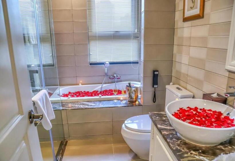 חדר קלאסי, Anik Palace