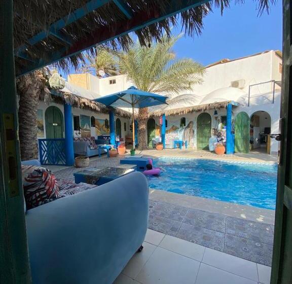 اتاق اکونومی, Chillax Dahab