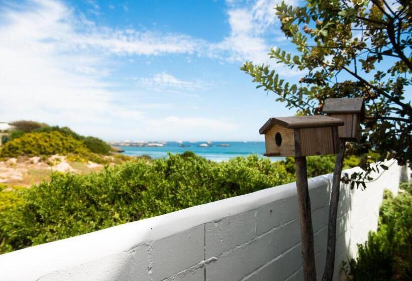 标准间, Gonana Guesthouse