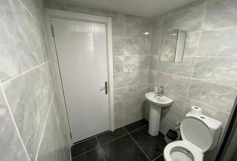 غرفة قياسية, Güner