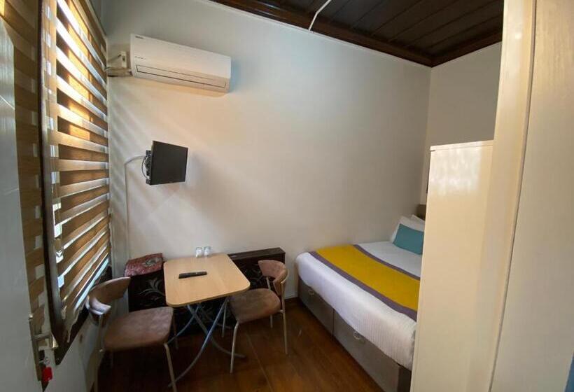 غرفة قياسية, Güner