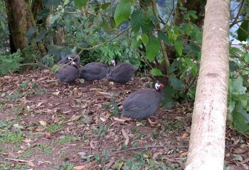 غرفة قياسية, Centro Vacacional Y Recreativo La Ermita   Sasaima