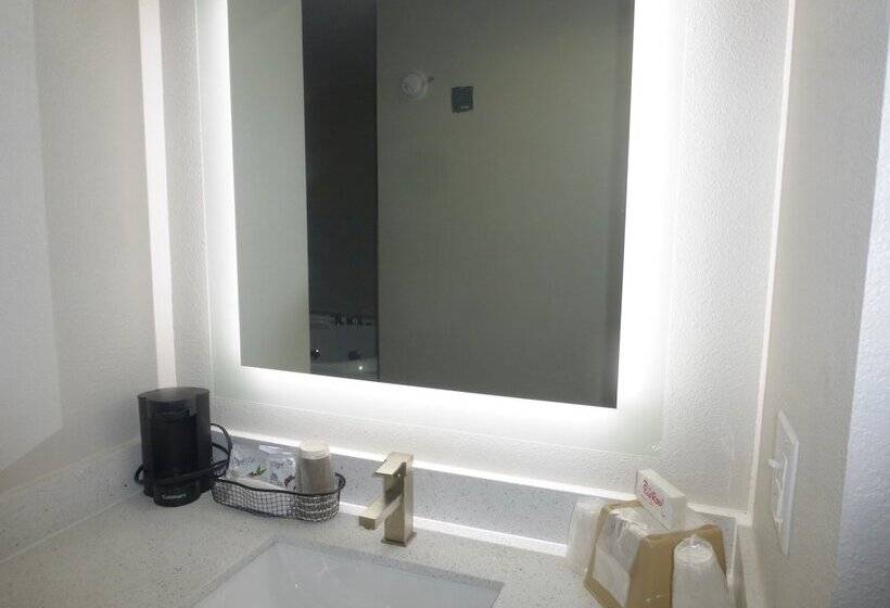 デラックスルーム, Red Roof Inn & Suites Mobile Sw  I10