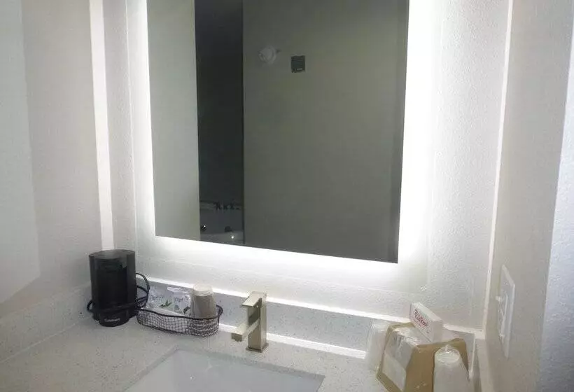 デラックスルーム, Red Roof Inn & Suites Mobile Sw  I10