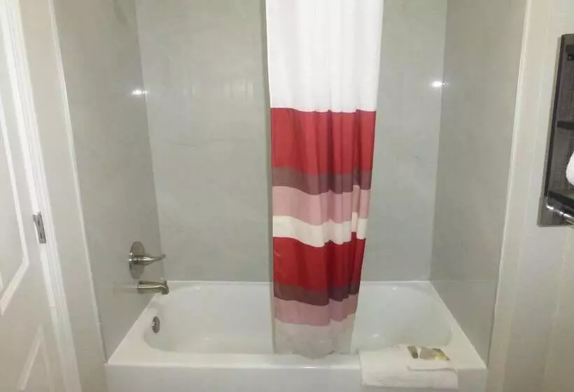 デラックスルーム, Red Roof Inn & Suites Mobile Sw  I10