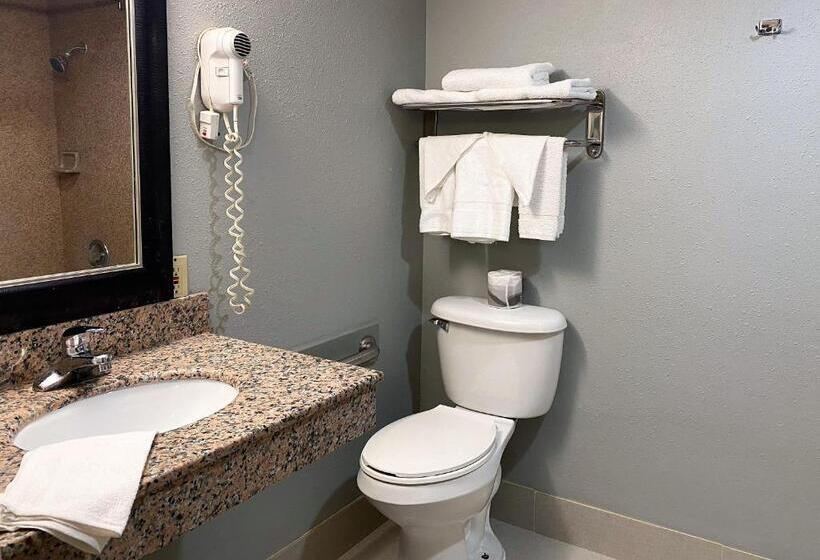 Стандартный Номер Кровать Кинг, Travelodge By Wyndham Bloomington