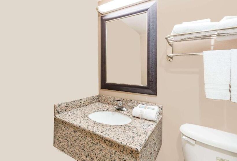 标准间, Travelodge By Wyndham Bloomington