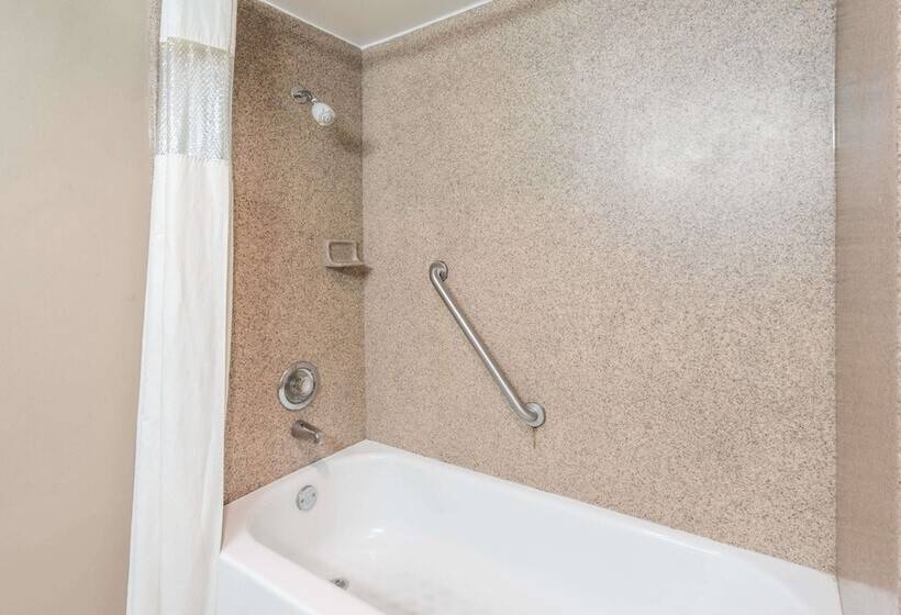 带2个双人床的标准工作室, Travelodge By Wyndham Bloomington