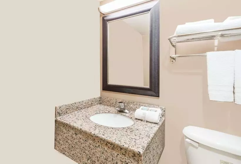 デラックスルーム, Travelodge By Wyndham Bloomington