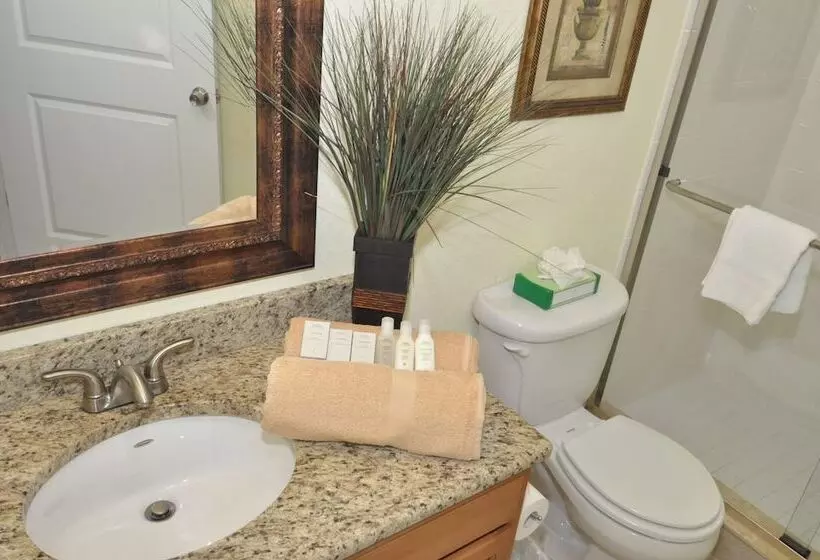 استودیوی استاندارد, Tropical Beach Resorts  Sarasota