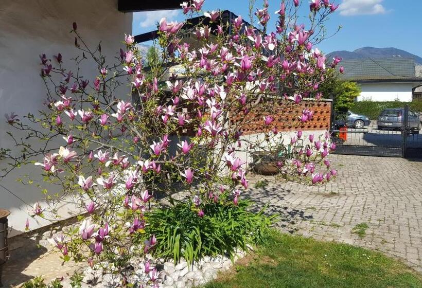 آپارتمان 1 خوابه با چشم‌انداز باغ, B&b Vidmar, Lesce Bled
