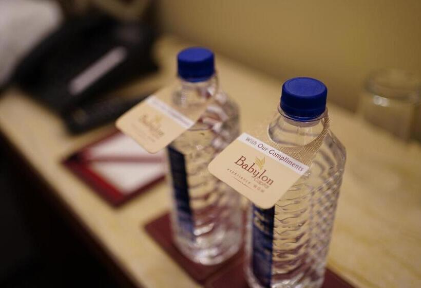 غرفة ديلوكس, Babylon Capital