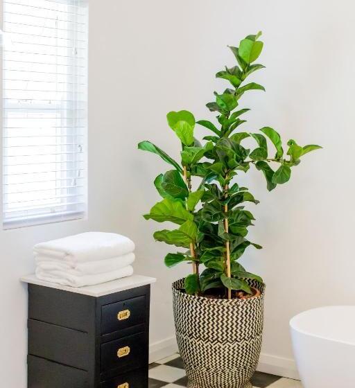 Deluxe Room Mountain View, Maison Montagne