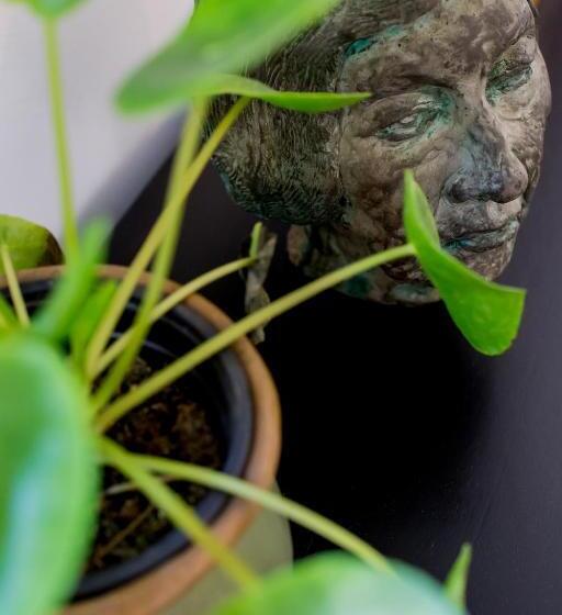 Deluxe Room Mountain View, Maison Montagne