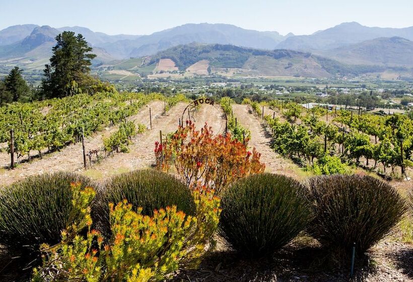 اتاق استاندارد, Maison Montagne