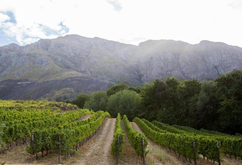 Deluxe Room Mountain View, Maison Montagne