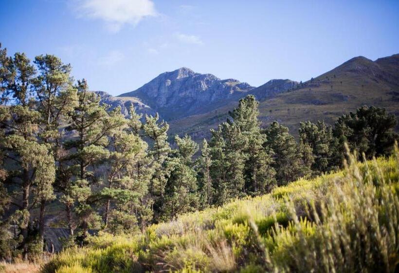 Deluxe Room Mountain View, Maison Montagne