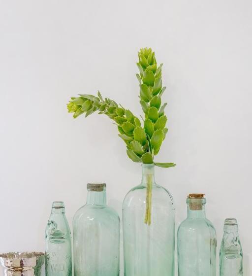 Deluxe Room Mountain View, Maison Montagne