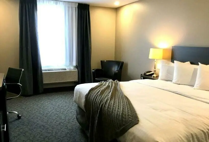 キングサイズベッドのスタンダードルーム, Villa Inn & Suites, Surestay Collection By Best Western