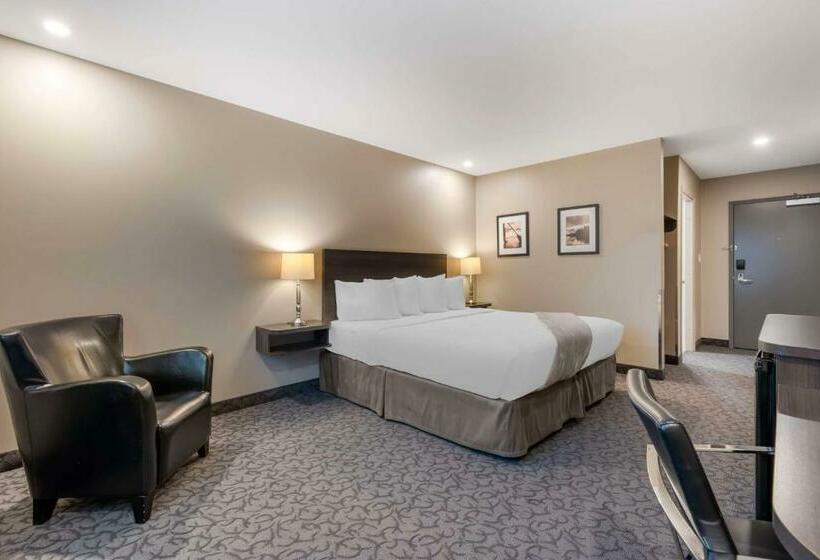 Standard Szoba King Size Bed, Villa Inn & Suites, Surestay Collection By Best Western