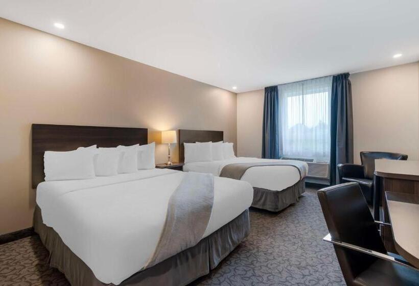 غرفة قياسية, Villa Inn & Suites, Surestay Collection By Best Western