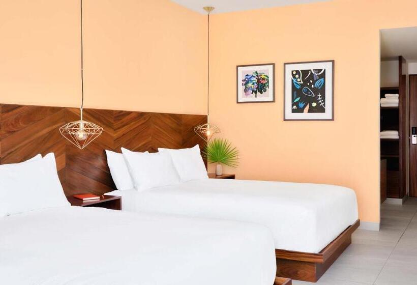 豪华房间, Calixta