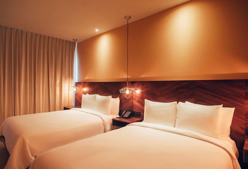 高级大房间, Calixta