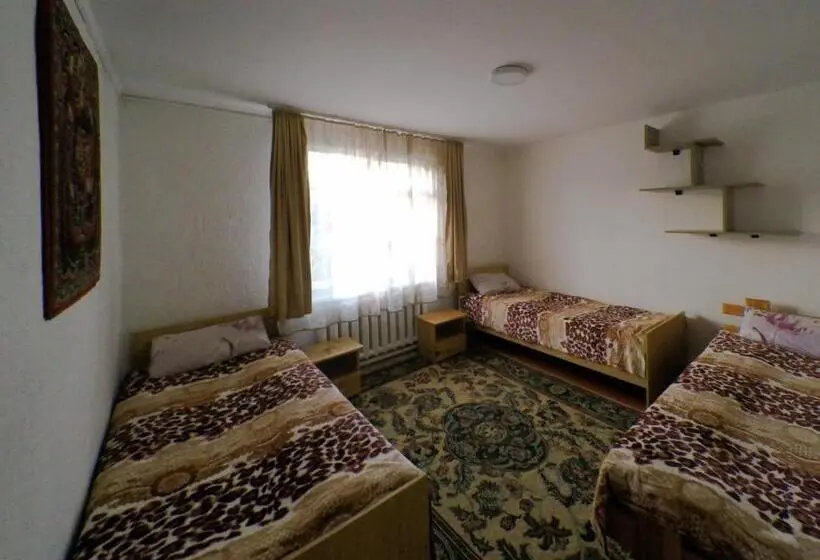 اتاق استاندارد با سرویس بهداشتی مشترک, Guesthouse Alakol