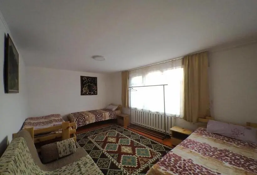 اتاق استاندارد با سرویس بهداشتی مشترک, Guesthouse Alakol