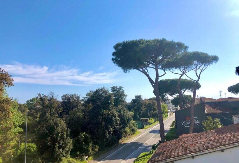 １ベッドルームペントハウスアパート, Pisa Beach Park