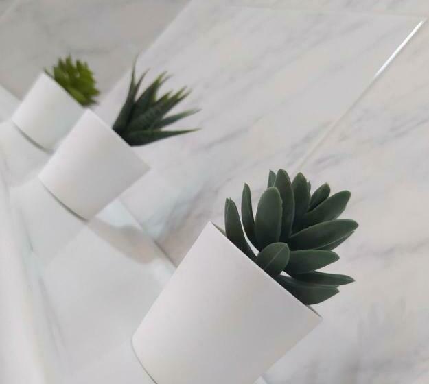 اتاق اکونومی, Venus Minimal