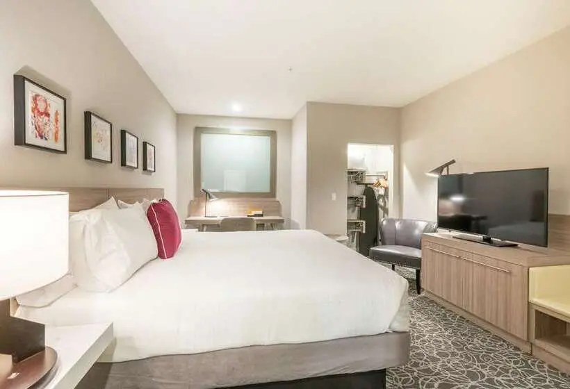 اتاق استاندارد با تخت بزرگ, Hilton Beijing Tongzhou