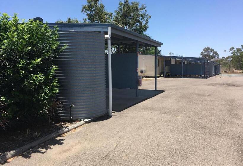 Номер Стандарт, Pit Pony