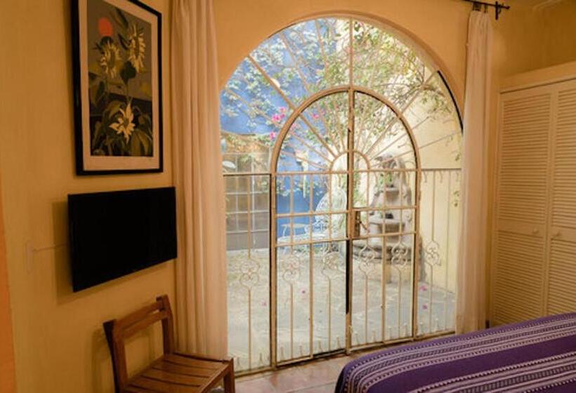 اتاق لوکس, Boutique Hotel Casa Camellia