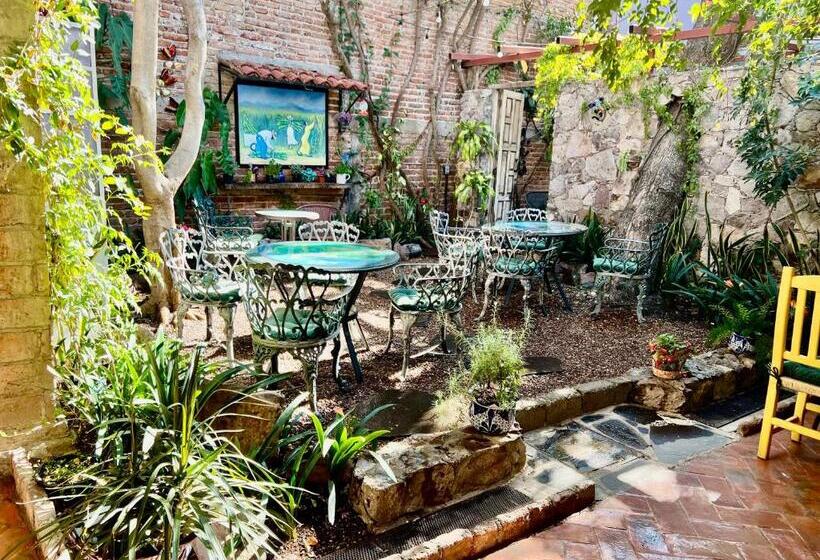 اتاق عادی, Boutique Hotel Casa Camellia