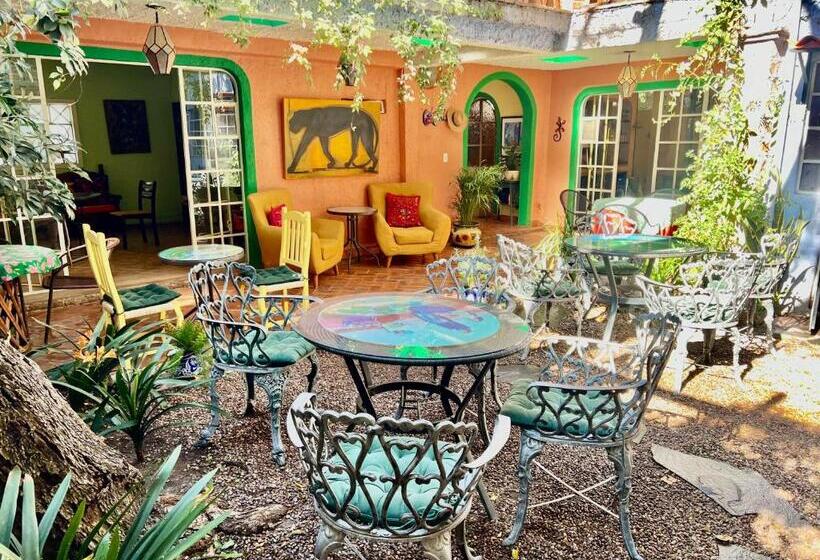 اتاق عادی, Boutique Hotel Casa Camellia