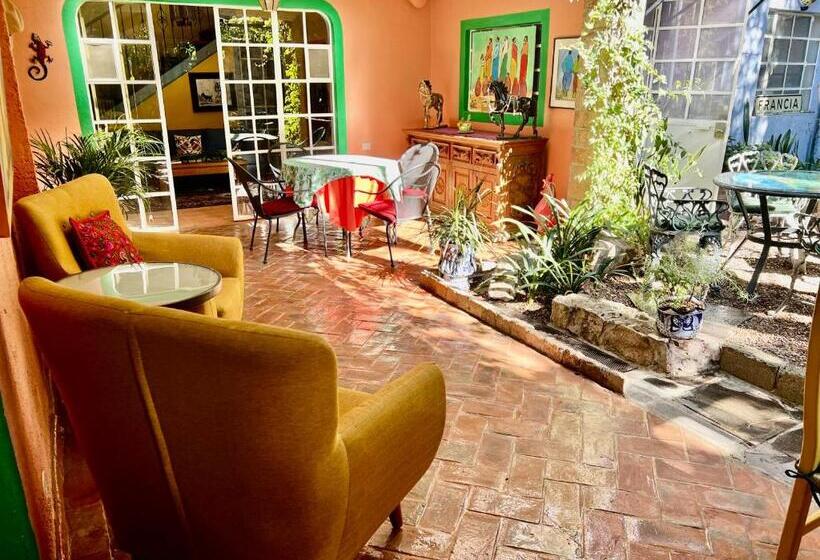 اتاق عادی, Boutique Hotel Casa Camellia