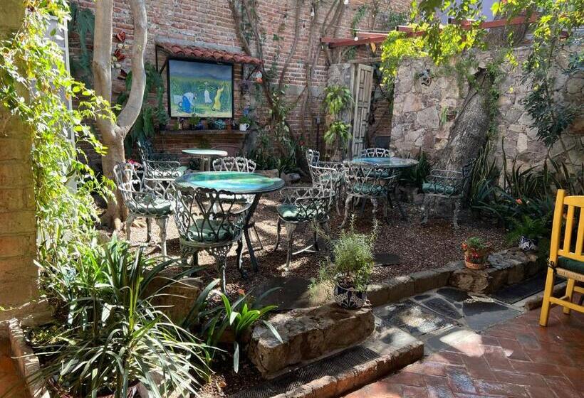 اتاق عادی, Boutique Hotel Casa Camellia