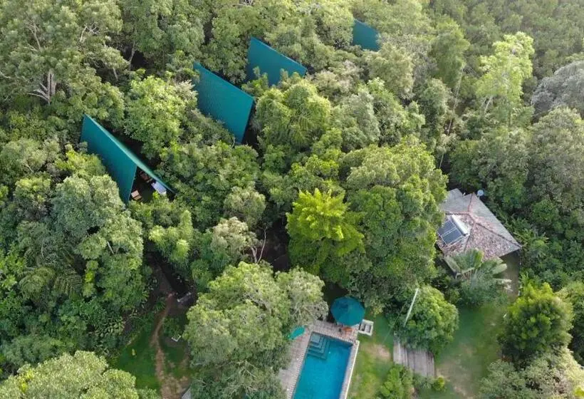 オーシャンビューデラックスルームバルコニー付き, Villa Hillcrest Weligama