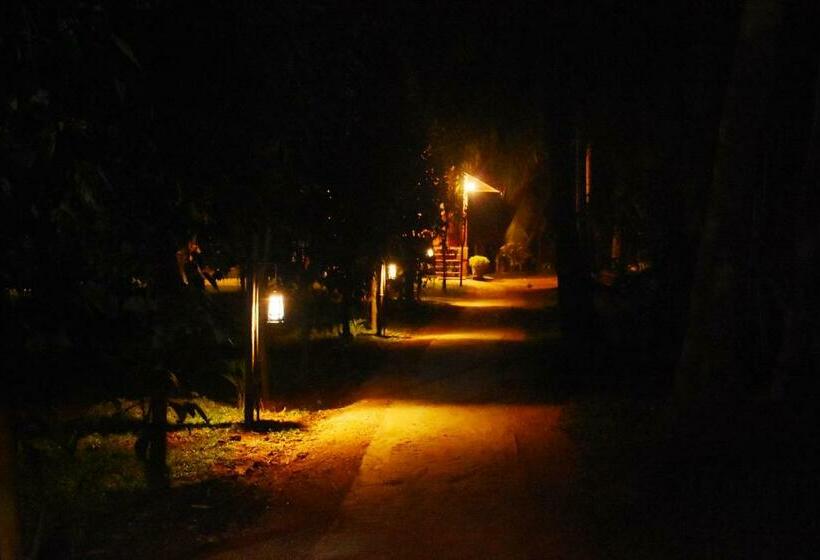 اتاق لوکس با بالکن, Wild Lake Side