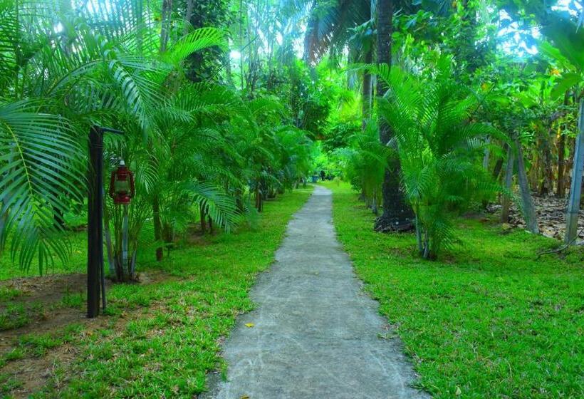 اتاق استاندارد با بالکن, Wild Lake Side