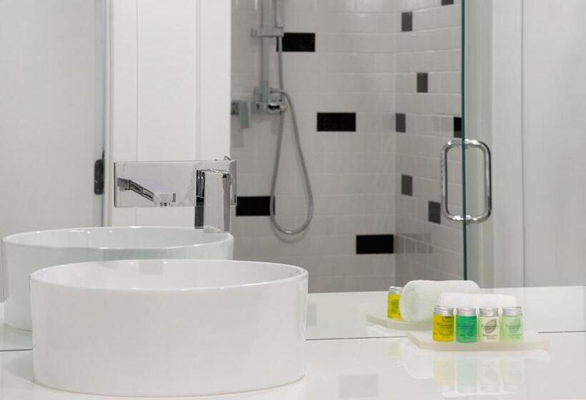 غرفة قياسية سرير كينج, The Vagabond