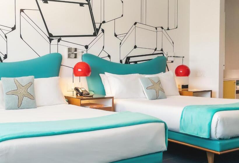 غرفة قياسية, The Vagabond