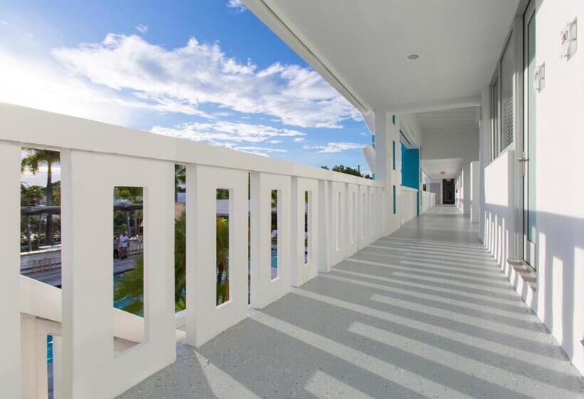 غرفة قياسية, The Vagabond